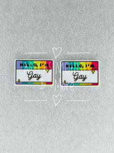 I'm Gay Resin (2 pack)